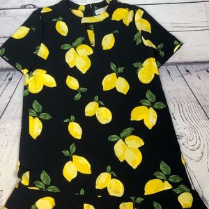 Mud pie dress